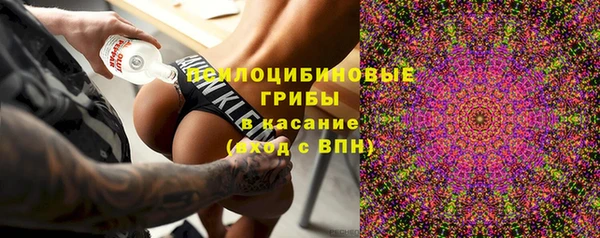 молекула духа Алексеевка