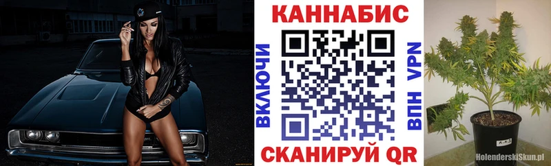 Бошки марихуана ГИДРОПОН  Димитровград 